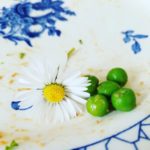 peas_plates_smithy_airbnb_haarlem_coming_up_rainbows