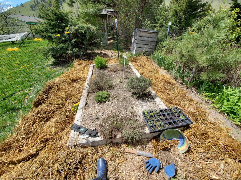 Spring Yarden Herbs