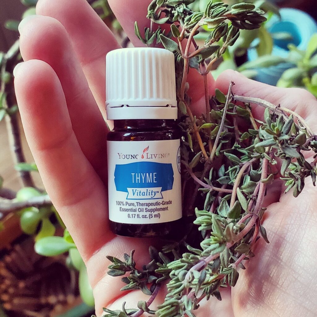 Thyme 5ml CUR