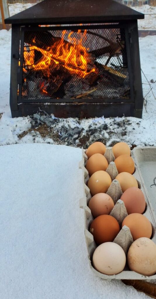 chicken funeral coming up rainbows