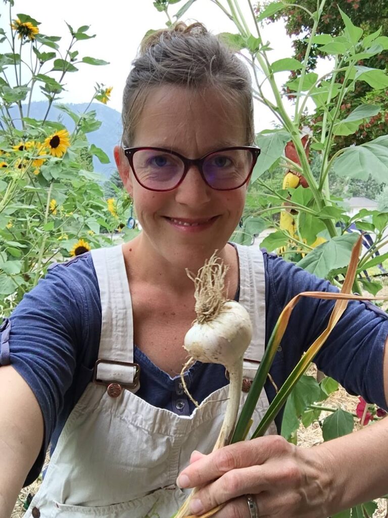 Garlic Harvest from the Yarden