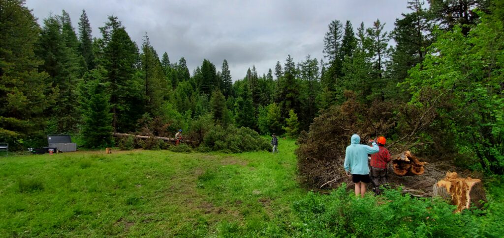 Trees Down Sovereign Lode