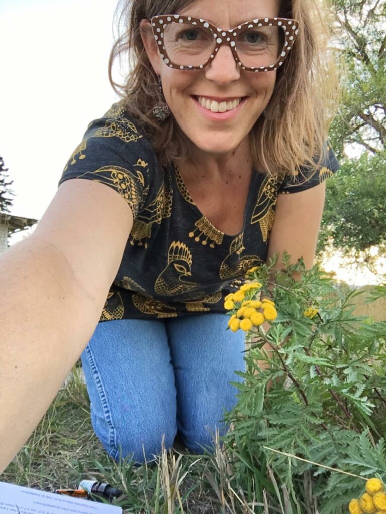 Tansy Profile Coming Up Rainbows