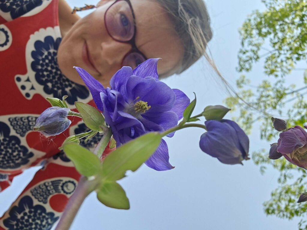 purple columbine and my face