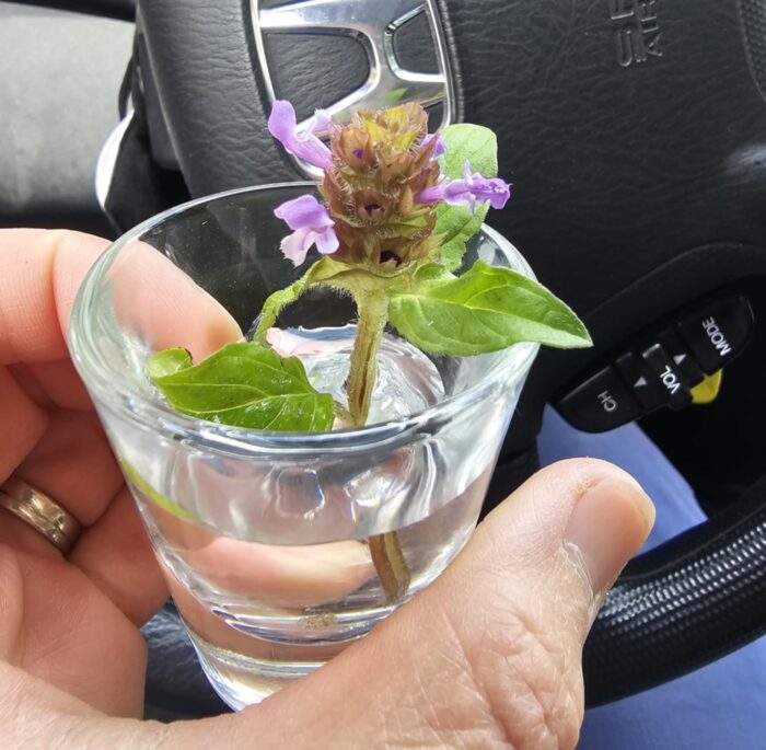 Self-Heal Picked