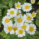 391e90d3-e9c6-4ae2-a7ab-7947e9f395f1