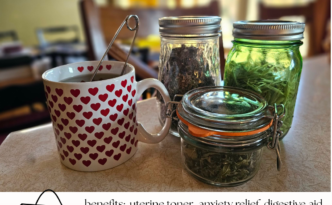 Raspberry leaf, mint and oat straw herbal tea in a heart mug with dried herbs in glass jars