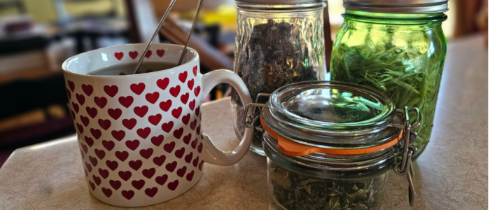 Raspberry leaf, mint and oat straw herbal tea in a heart mug with dried herbs in glass jars
