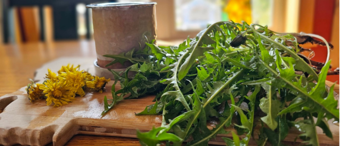 Dandelions and a Tea Cup