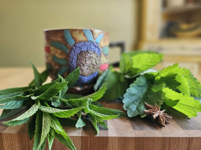 Ceramic mug, fresh mint, fresh lemon balm and a star anise