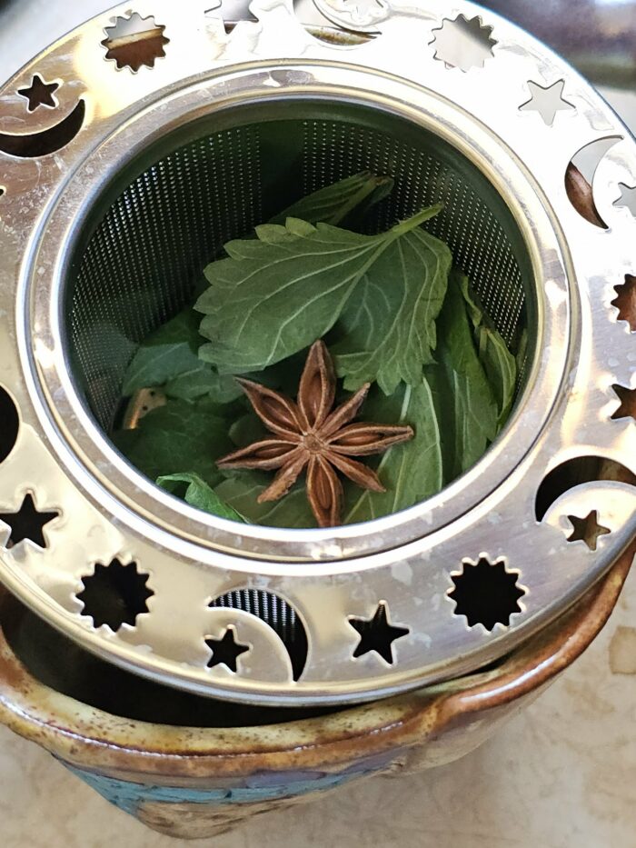 Star Anise and Fresh Herbs in an in-cup tea infuser