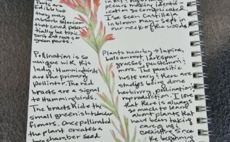 Nature Journal Entry Paintbrush