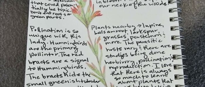 Nature Journal Entry Paintbrush