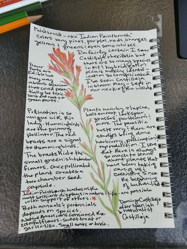 Nature Journal Entry Paintbrush