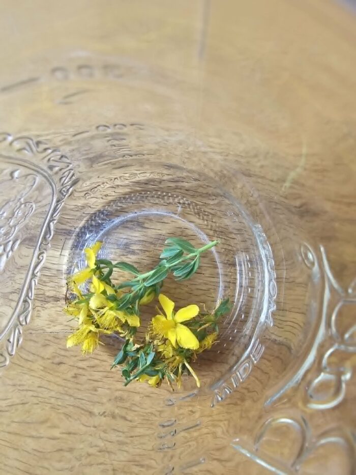 Jar with St. John's Wort